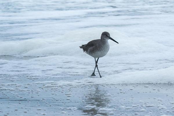 Beach Quarters Daytona Wilbur-by-the-Sea Екстер'єр фото